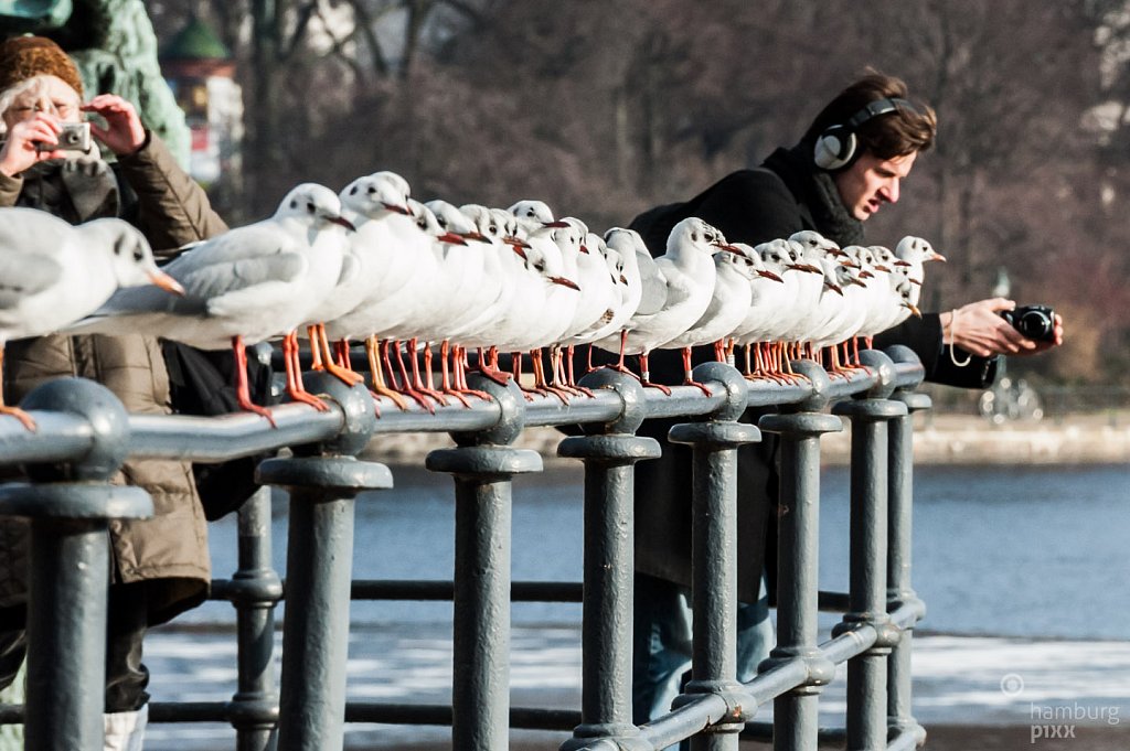 Gruppenfoto an der Binnenalster