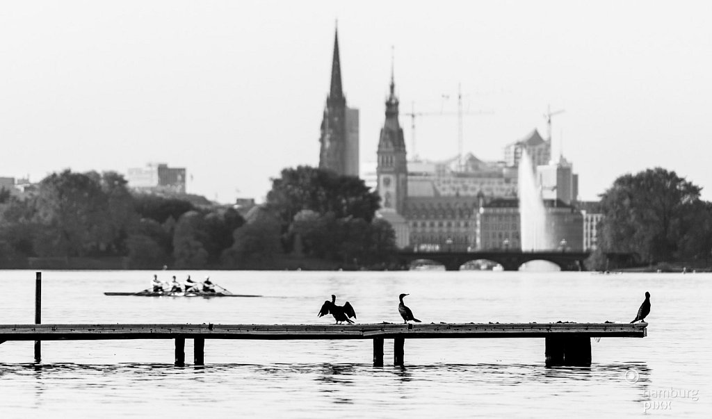 Ein Steg auf der Außenalster 