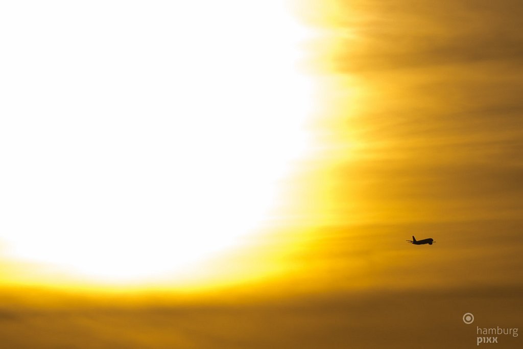 Fly away